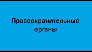 Правоохранительные органы. Лекция 2