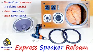 Repair speaker without removing Dust cap !!!