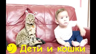 Дети и кошки приколы - приколы с кошками и детьми