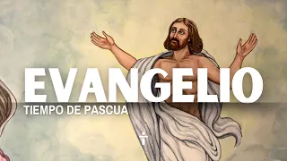 LECTURAS DEL DIA / V VIERNES DE PASCUA (Jn 14, 6-14)