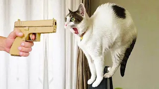 New Funny Animals 2023 😅 Funniest Cats and Dogs 😹🐶 Part 22