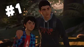 Moldoveanu Joaca: Life is Strange 2 Episodul 1