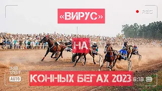 "Вирус" на Кубке Чувашии по конному спорту 2023!)))