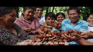 Super fruits that conserve forests: Embedding sustainability across the value chain