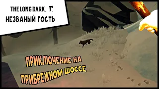 Выживание THE LONG DARK Незваный гость #13 Приключение на Прибрежном шоссе