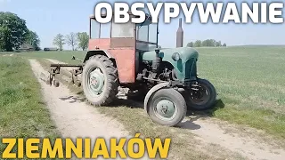 C328 vs 5 rzędów?!🔥Obsypywanie ziemniaków🔥URSUS C328 x AGROMET P431🔥