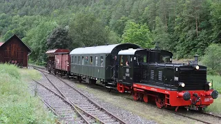 Sonderzüge anlässlich 40 Jahre Kuckucksbähnel Lambrecht-Elmstein