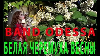 Band ODESSA   Белая черемуха весны