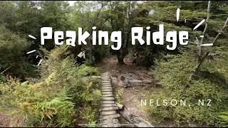 Best trail in Nelson? PEAKING RIDGE | POV