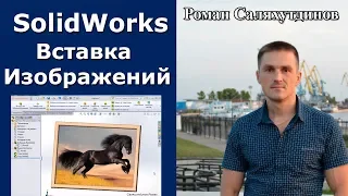 SolidWorks. Урок. Вставка изображения на поверхность. Лошадь | Саляхутдинов Роман