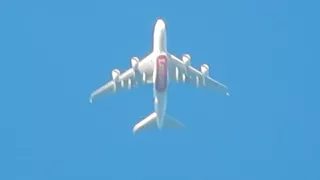 Emirates A380-800 40,000 feet up Amazing!!!