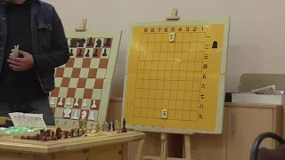 Сёги для шахматистов.