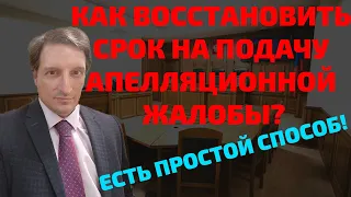 Как восстановить срок на подачу апелляционной жалобы.