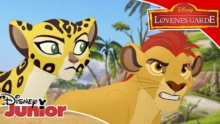 Løvenes Garde | Drageøyen 🔥 | Disney Junior Norge