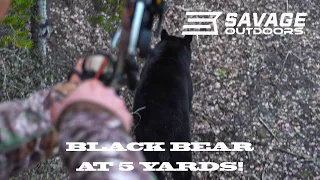 Black bear at 5 YARDS!