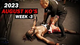 MMA & Boxing Knockouts I August 2023 Week 3