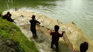 Amazing Big Fish Catching | Fisherman Catching Big  fish with the fishing net