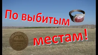 Не все места ещё выбиты! Есть где походить!| equinox 600 | x-terra 705 | коп 2024