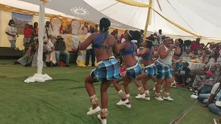 Palama thaba ngwanyana