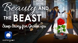 Bedtime Sleep Stories | 🌹 Beauty and The Beast 👹 | Sleep Story for Grown Ups & Kids | Classic Tale