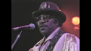 Ron Wood & Bo Diddley - Mona - 11/20/1987 - Ritz