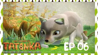 Tatonka en Français 🐺 Le voleur de pommes de pin 🌲