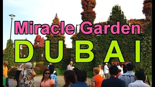 Dubai Miracle Garden