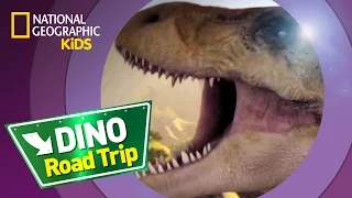 T. Rex | Dino Road Trip