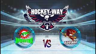 Турнир по хоккею с шайбой на призы "Hockey Way" среди 2014г.р. Хризотил - Буран 28.08.23г.