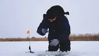 Рыбалка на жерлицы в глухозимье! Рыбалке в феврале 2023!