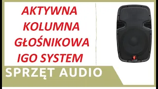 ZIZ - Kolumna aktywna IGO SYSTEM SSP2112AU na głośniku 12 calowym