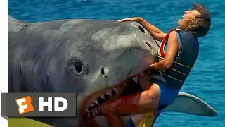 Jaws: The Revenge (5/8) Movie CLIP - The Banana Boat (1987) HD