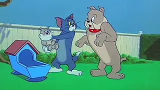 Tom and Jerry, 82 Episode - Hic-cup Pup (1954)