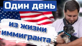 Жизнь, работа и отдых в США: автосервис, продуктовый магазин, спортзал и DMV. Прогулка. Готовим дома