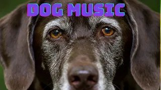 MUSIC FOR SENIOR DOGS - HELP YOUR OLD DOG RELAX