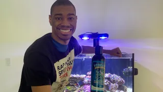 Vibrant Aquarium Cleaner Review On My Innovative Marine 50 Gallon Lagoon