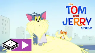 Tom i Jerry Show | Najlepsi w swojej klasie | Cartoonito