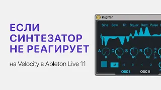 Если синтезатор не реагирует на Velocity в Ableton Live 11 [Ableton Pro Help]