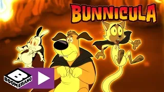 Bunnicula | Free Bunnicula | Boomerang UK 🇬🇧