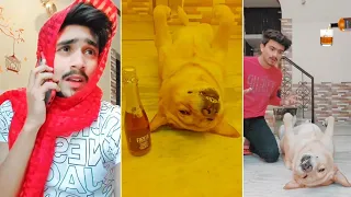 dog comedy video part-3🤣 | Nashedi dog🍻 | Anant & leo