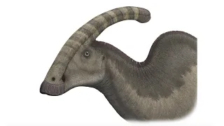 Paleo Log: Parsaurolophus
