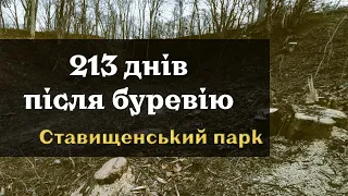 213 днів після буревію. Ставищенський парк