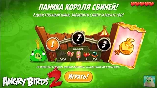 King Pig Panic/Паника короля свиней! 31/07/2021 Angry Birds 2.