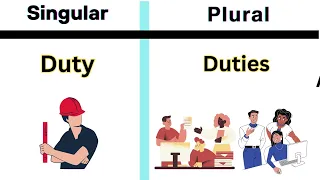 Learn Singular and Plural Nouns - s, es, and ies endings #singularplural