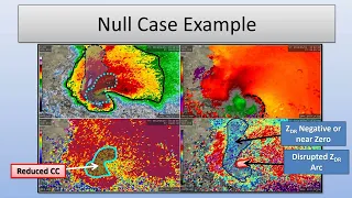 When a Missing or Disrupted ZDR Arc is Not Inferring Strong Negative Buoyancy