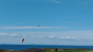 Cessna 207 Lands on 1500ft Island Airstrip