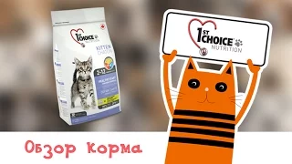 Обзор корма 1st Choice Kitten Chaton Healthy Start