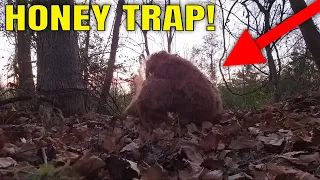 Ozarks Bigfoot Caught on Camera!!!