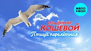 Владимир Кошевой  - Птица перелётная (Single 2019)