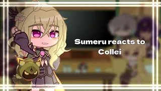 Sumeru reacts to Collei | Male MC | Genshin Impact